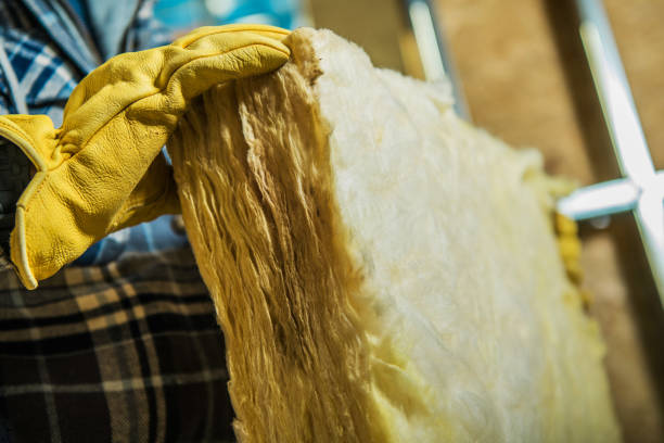 Best Insulation Inspection Services  in Frederic, WI