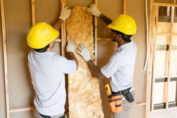 Insulation Replacement Services in Frederic, WI