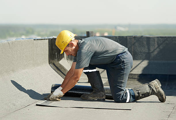 Best Insulation Contractor Near Me  in Frederic, WI